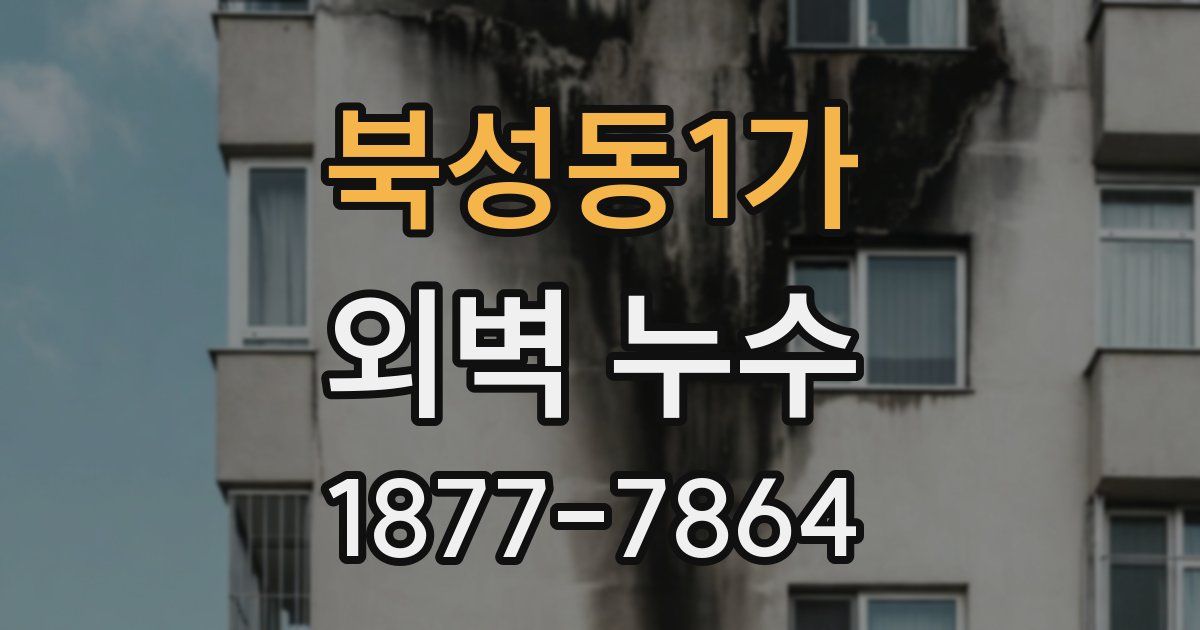 북성동1가 외벽 누수