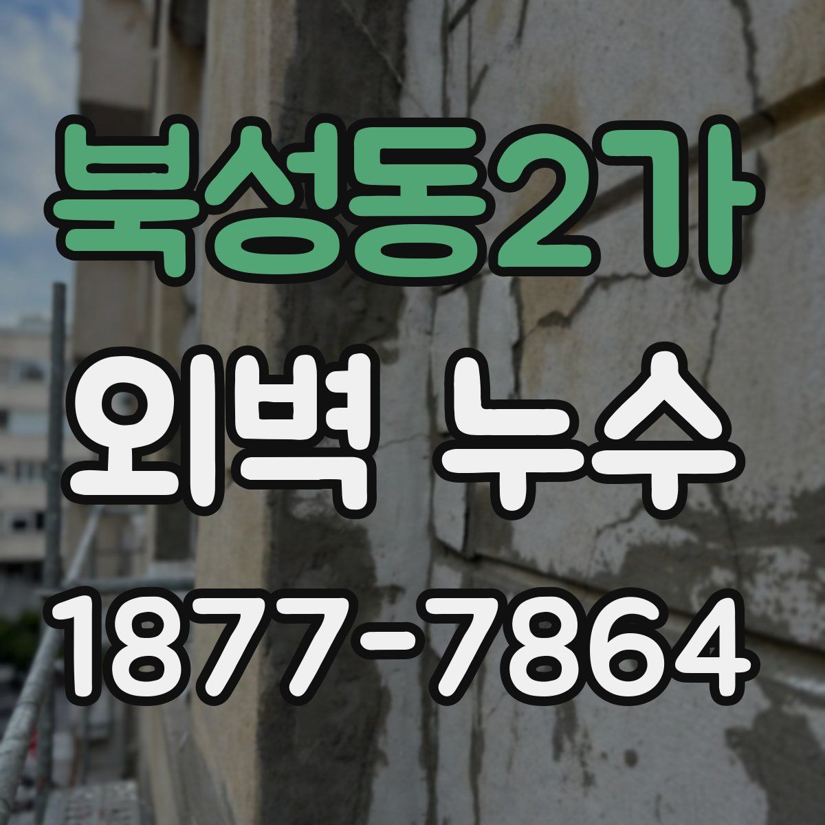 북성동2가 외벽 누수