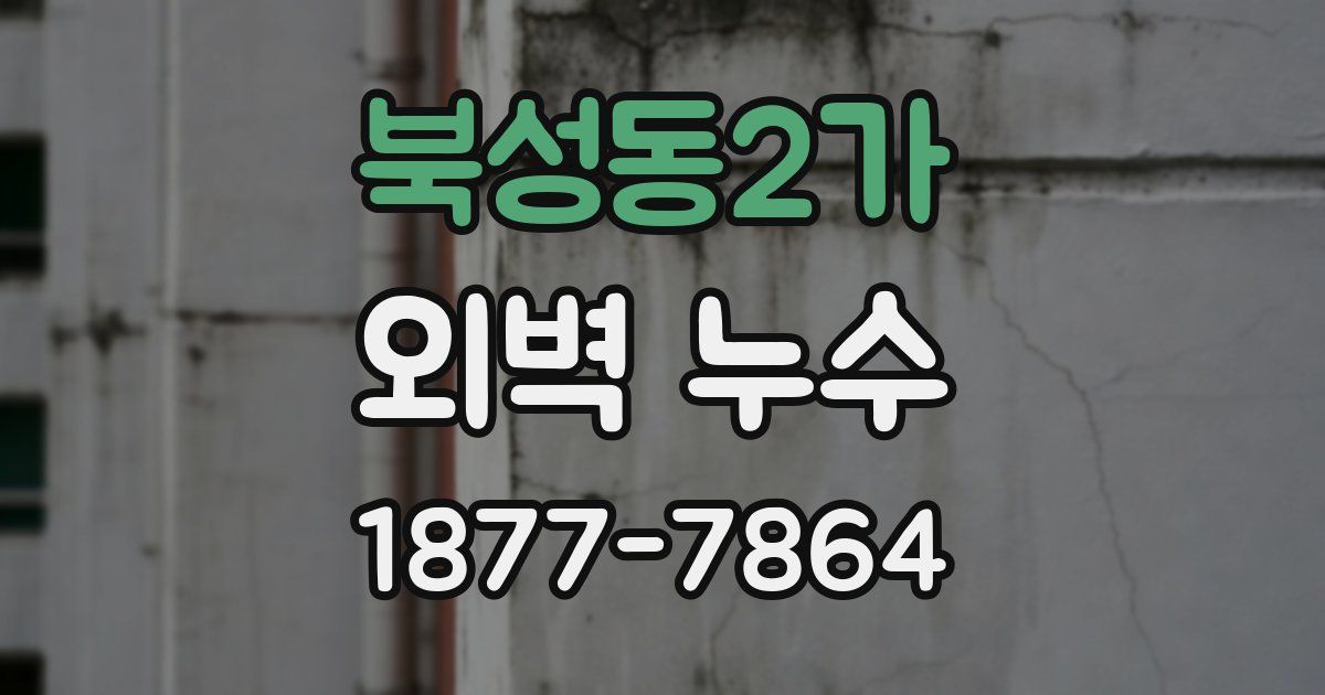 북성동2가 외벽 누수