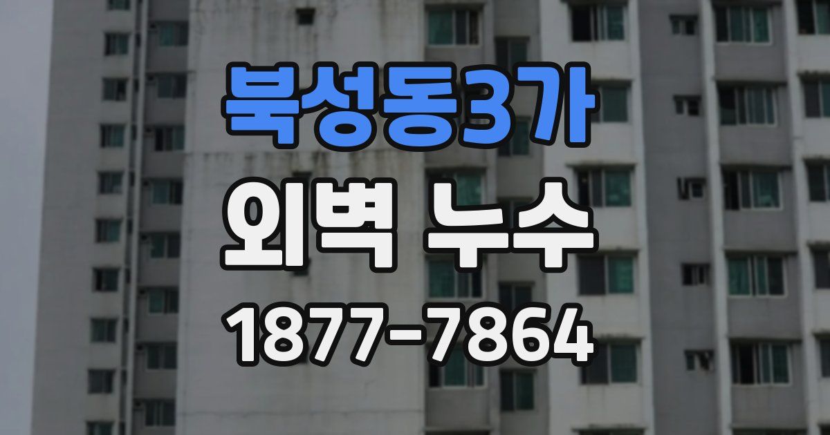 북성동3가 외벽 누수