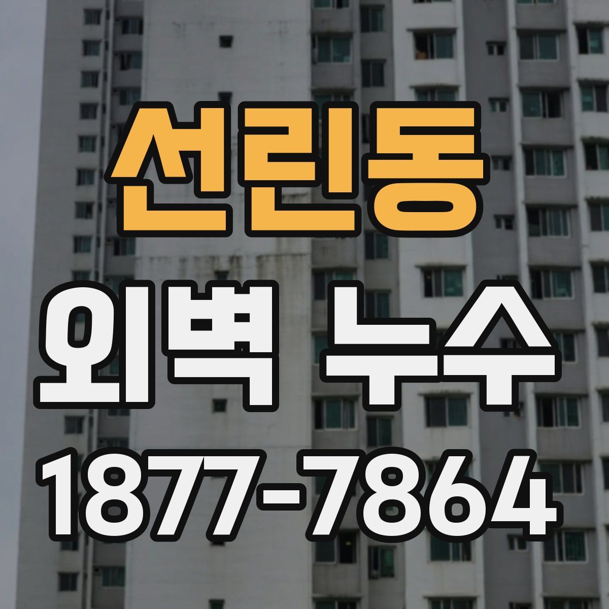 선린동 외벽 누수
