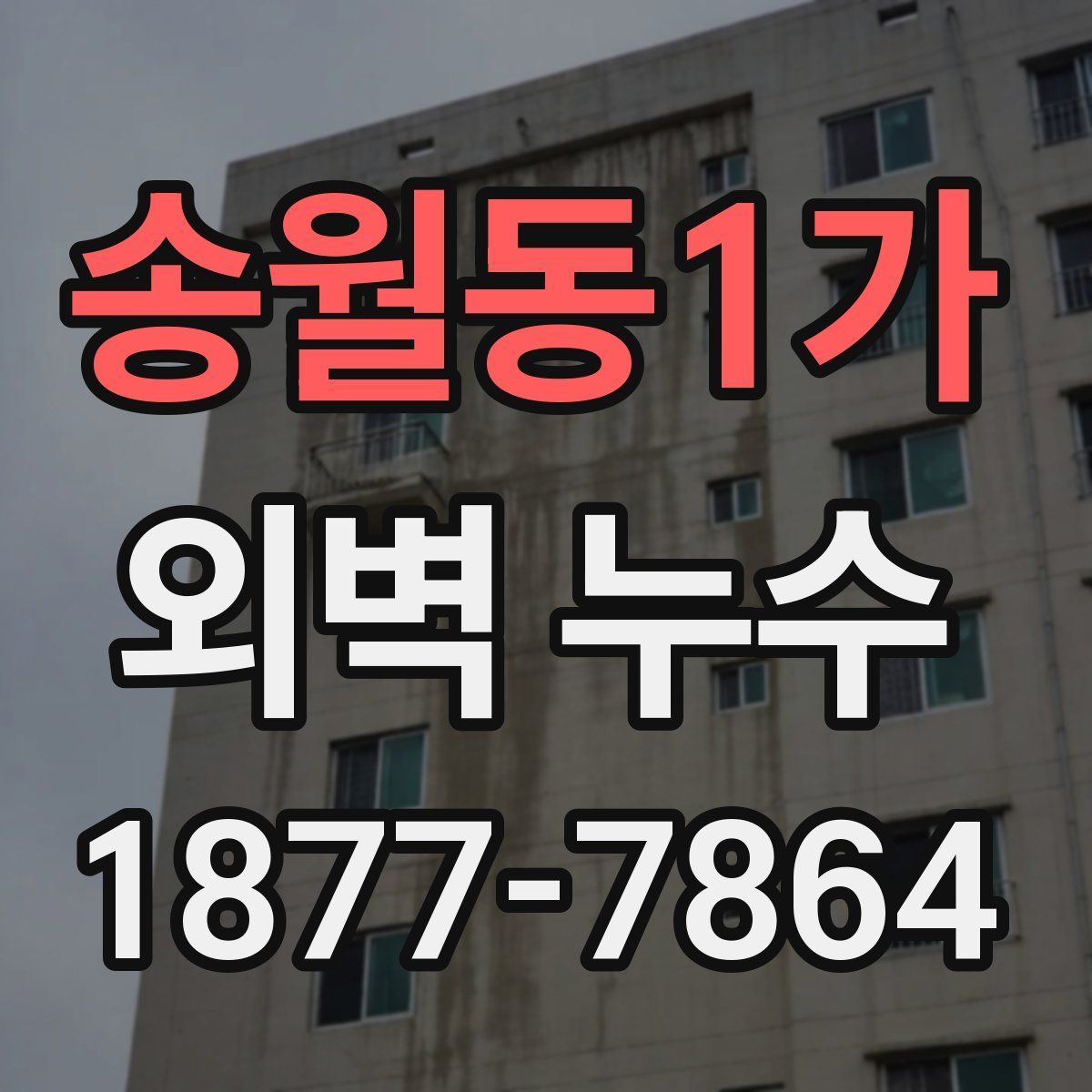송월동1가 외벽 누수