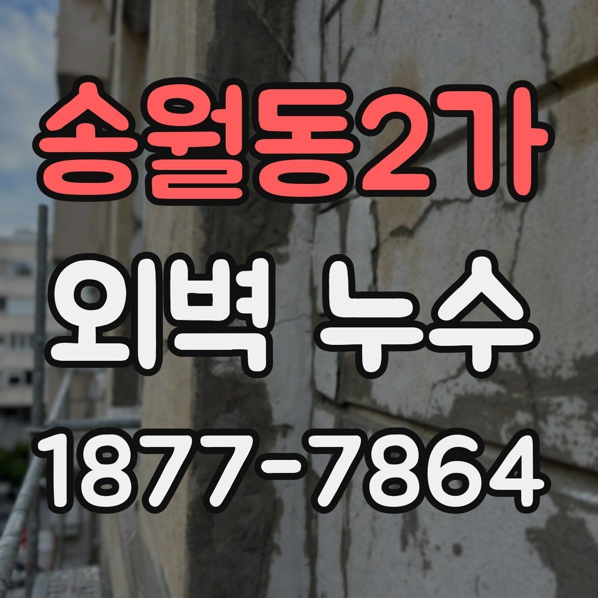 송월동2가 외벽 누수 예방을 위한 계절별 관리