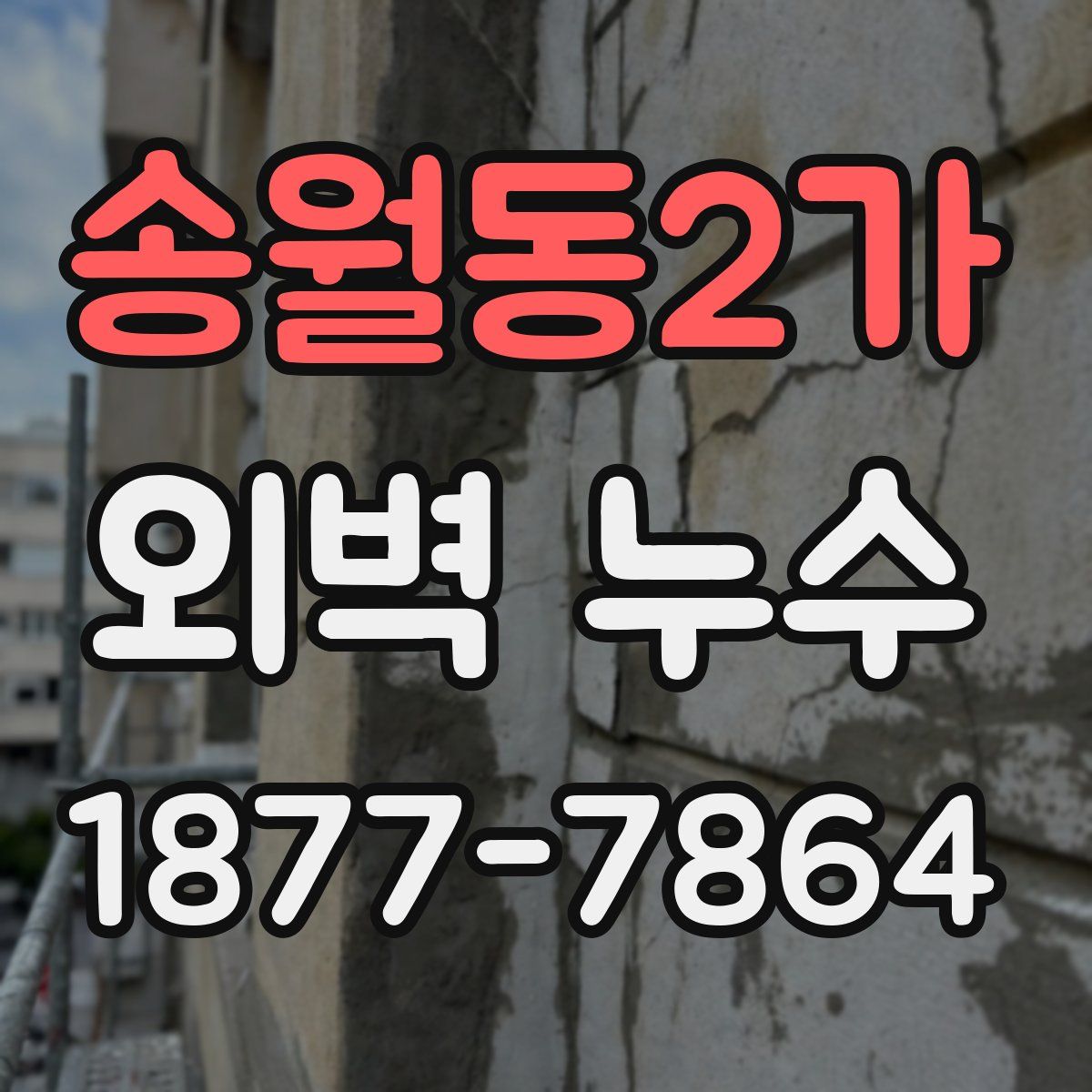 송월동2가 외벽 누수