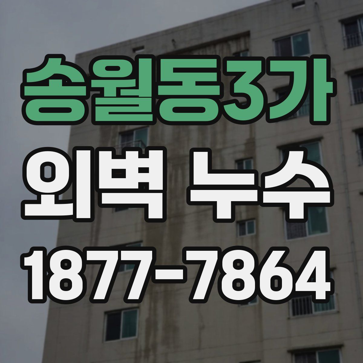 송월동3가 외벽 누수