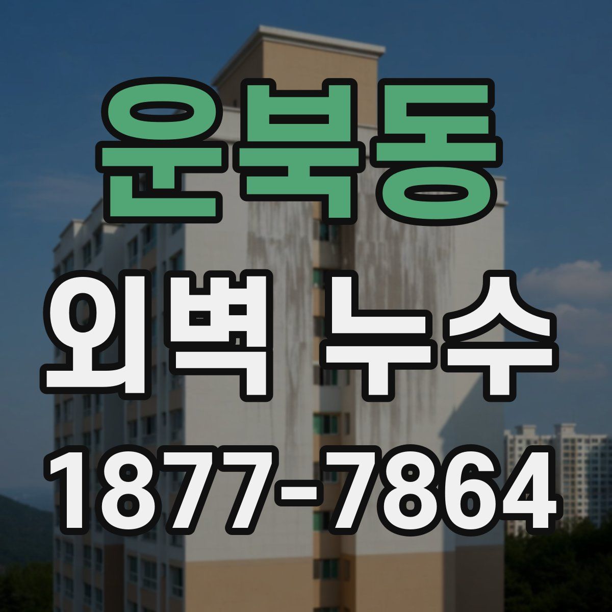 운북동 외벽 누수