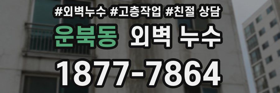 운북동 외벽 누수