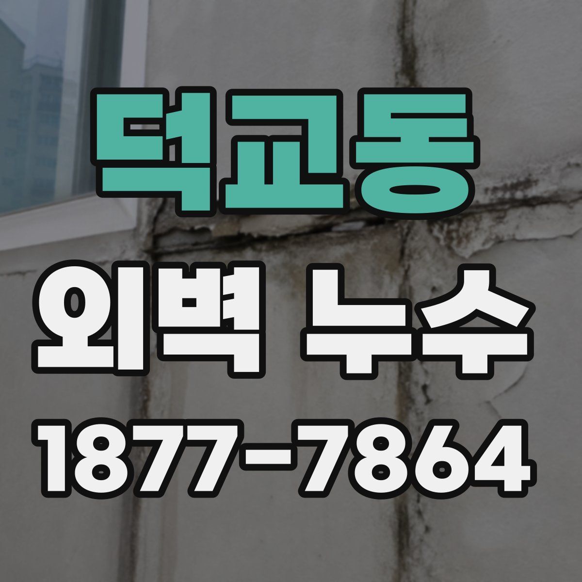 덕교동 외벽 누수