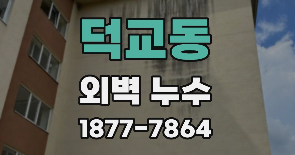 덕교동 외벽 누수