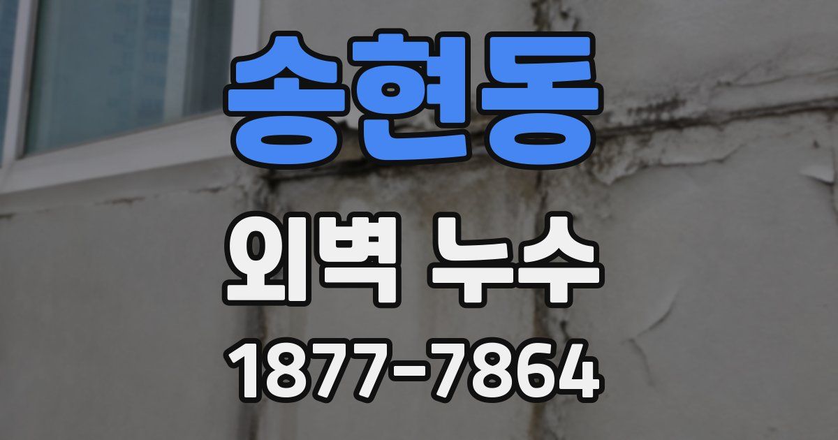 송현동 외벽 누수