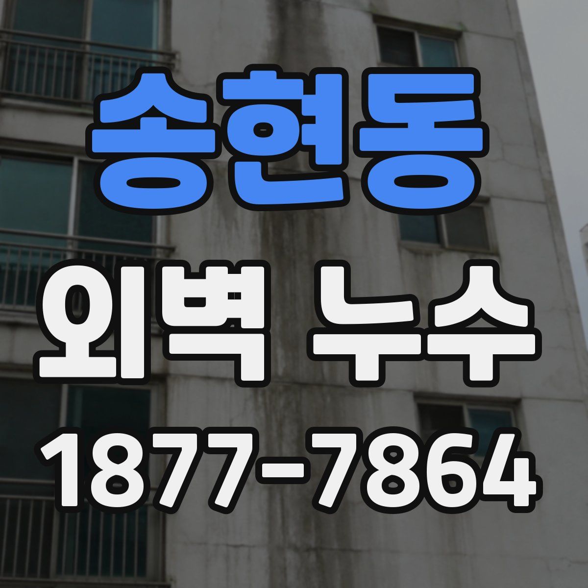 송현동 외벽 누수