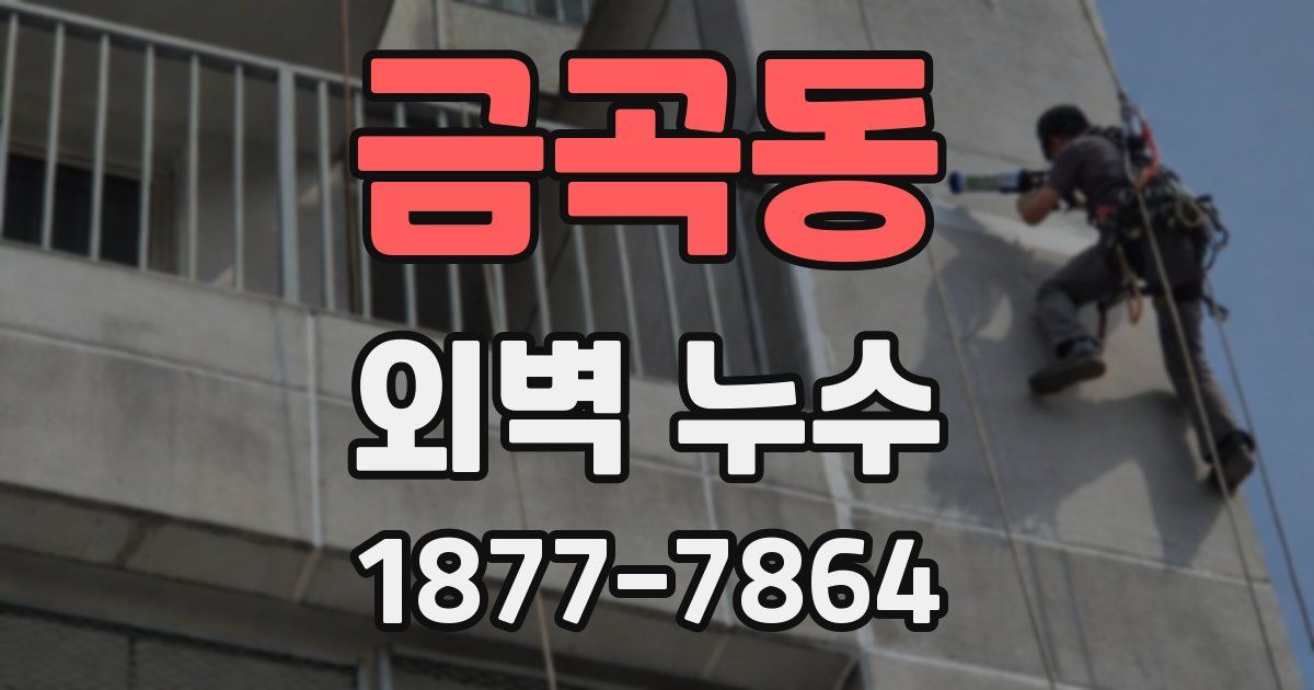 금곡동 외벽 누수