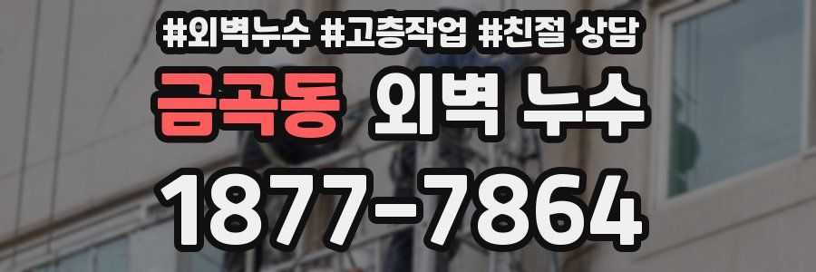 금곡동 외벽 누수