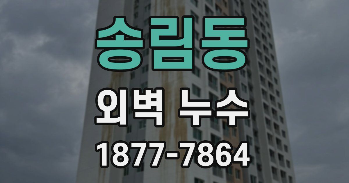 송림동 외벽 누수