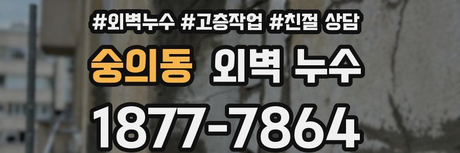 숭의동 외벽 누수