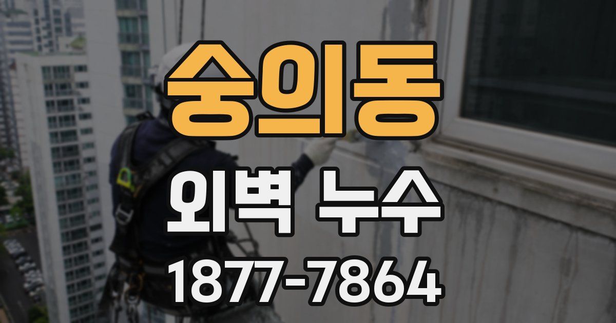 숭의동 외벽 누수