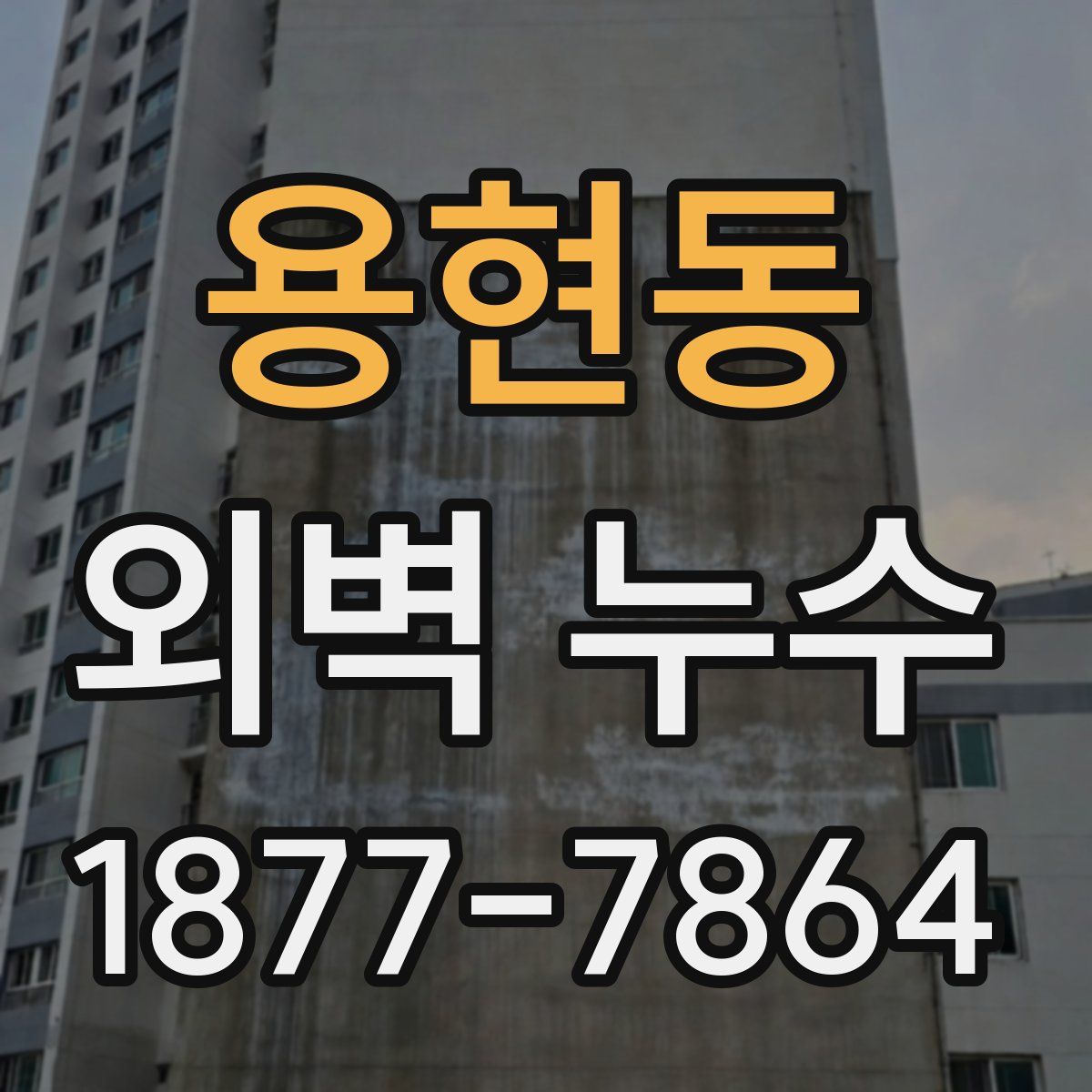 용현동 외벽 누수