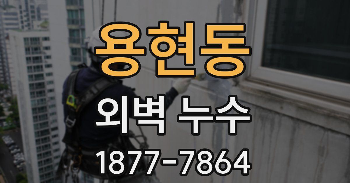 용현동 외벽 누수