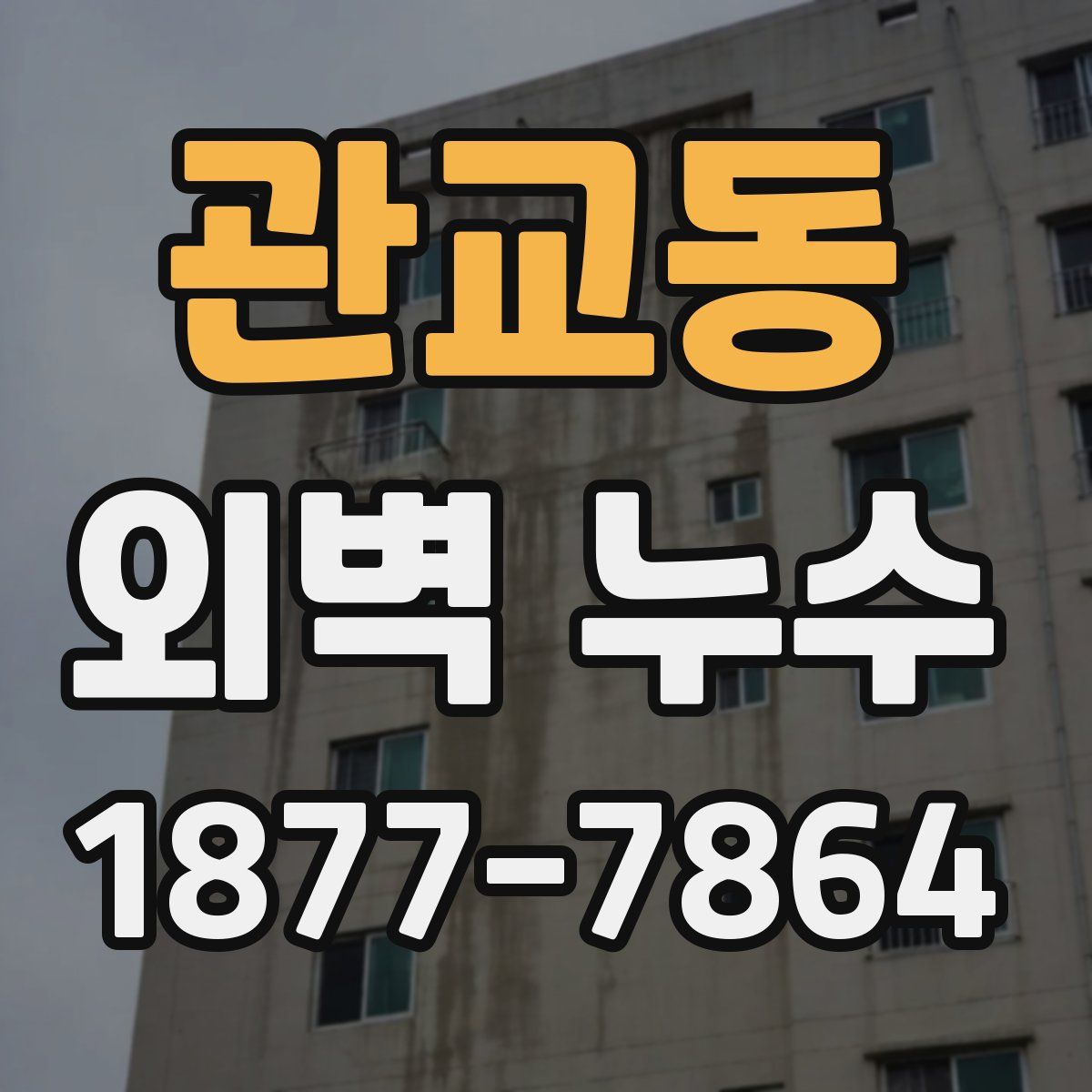 관교동 외벽 누수