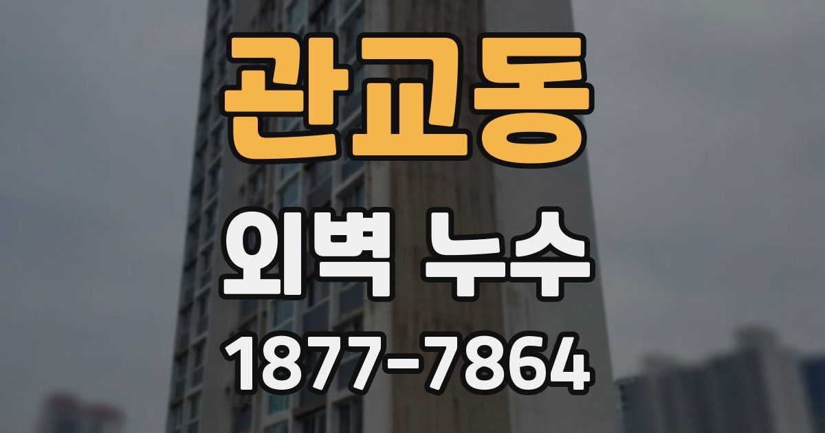관교동 외벽 누수