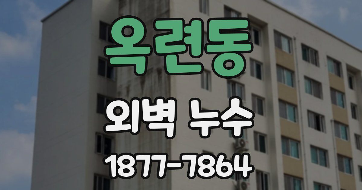 옥련동 외벽 누수