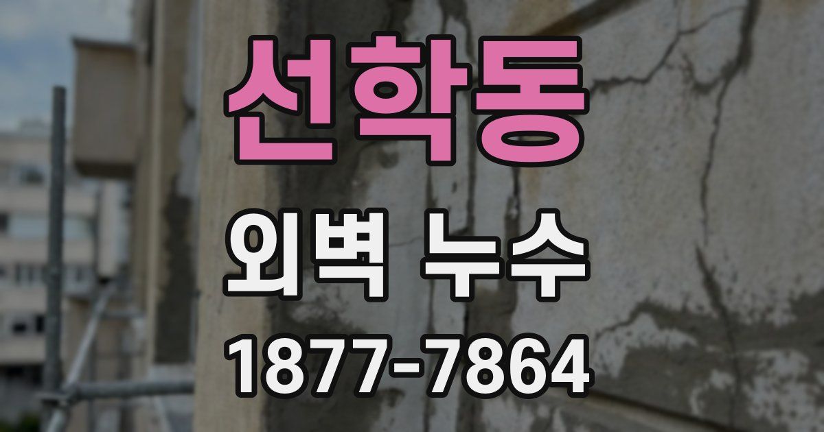 선학동 외벽 누수
