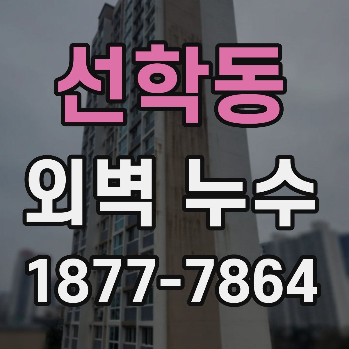 선학동 외벽 누수