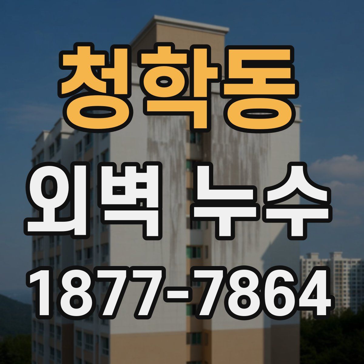 청학동 외벽 누수