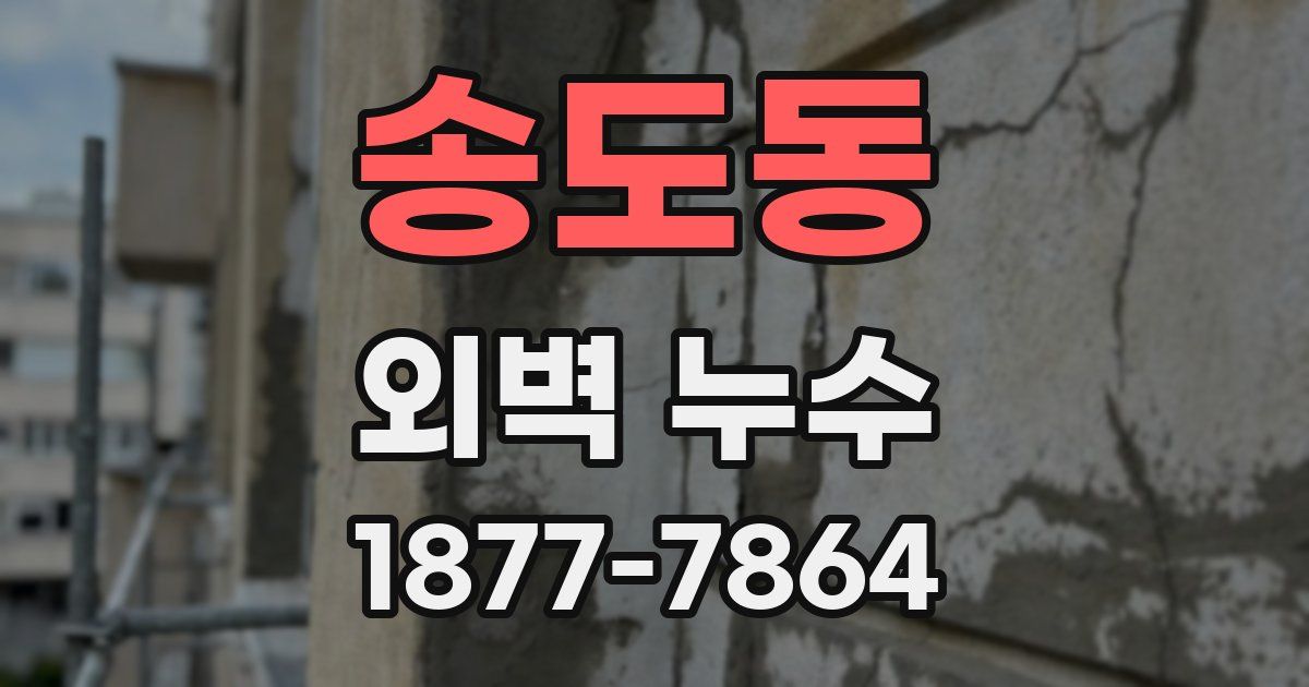 송도동 외벽 누수
