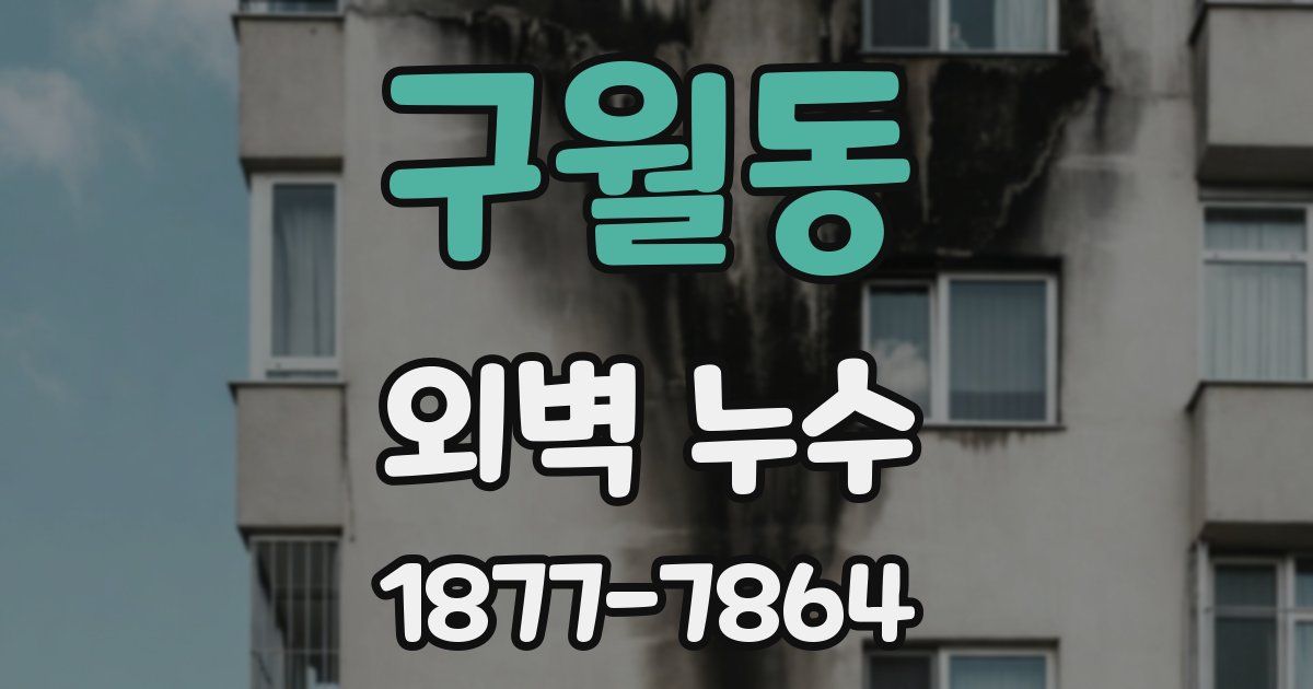 구월동 외벽 누수