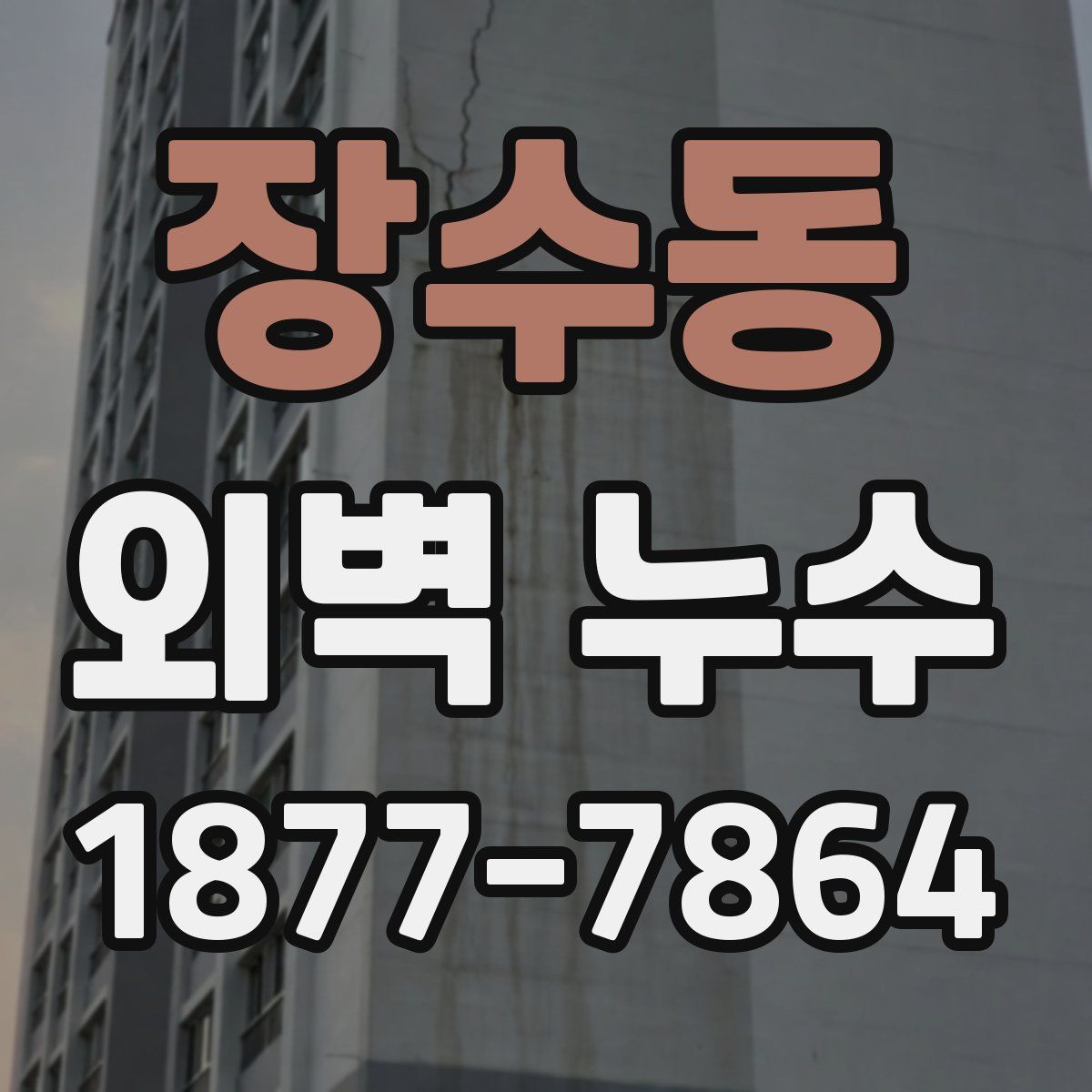 장수동 외벽 누수
