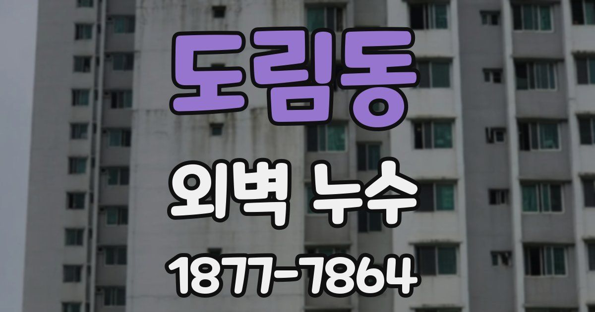 도림동 외벽 누수