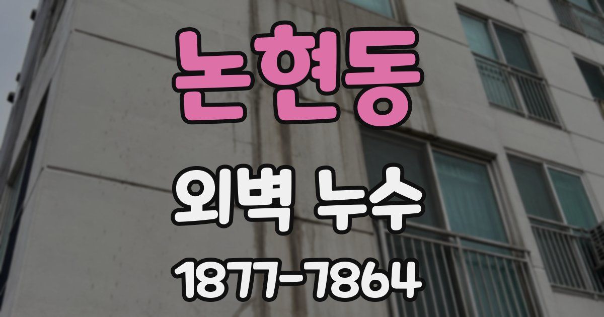 논현동 외벽 누수