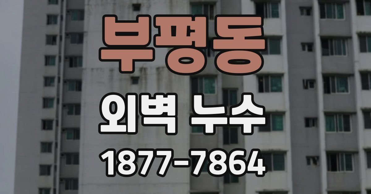 부평동 외벽 누수