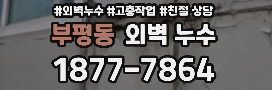 부평동 외벽 누수