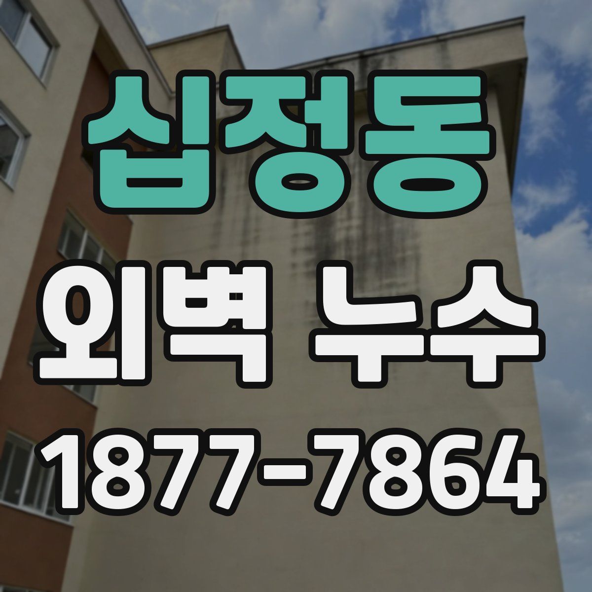 십정동 외벽 누수