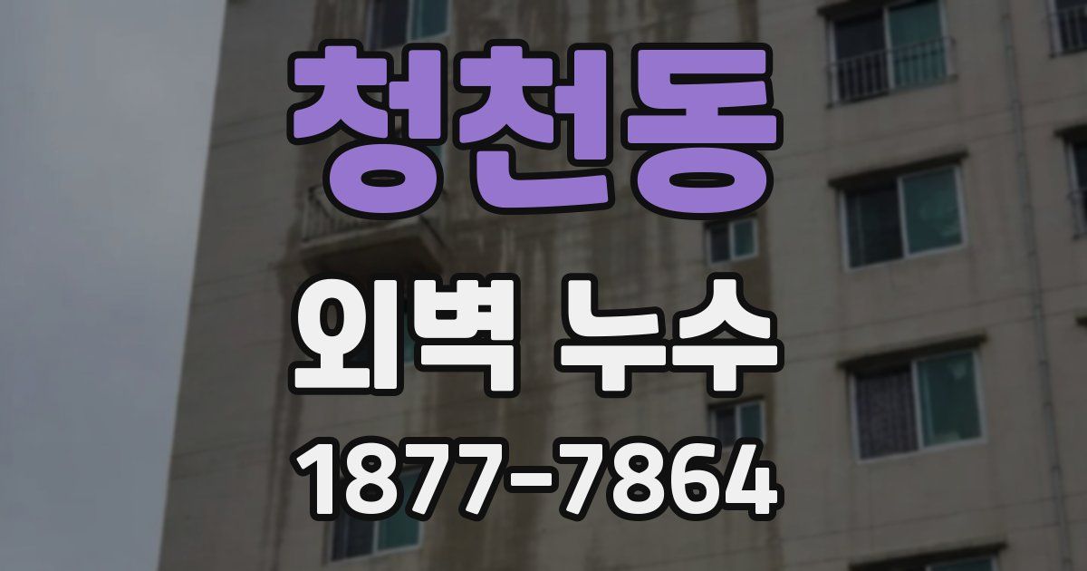 청천동 외벽 누수