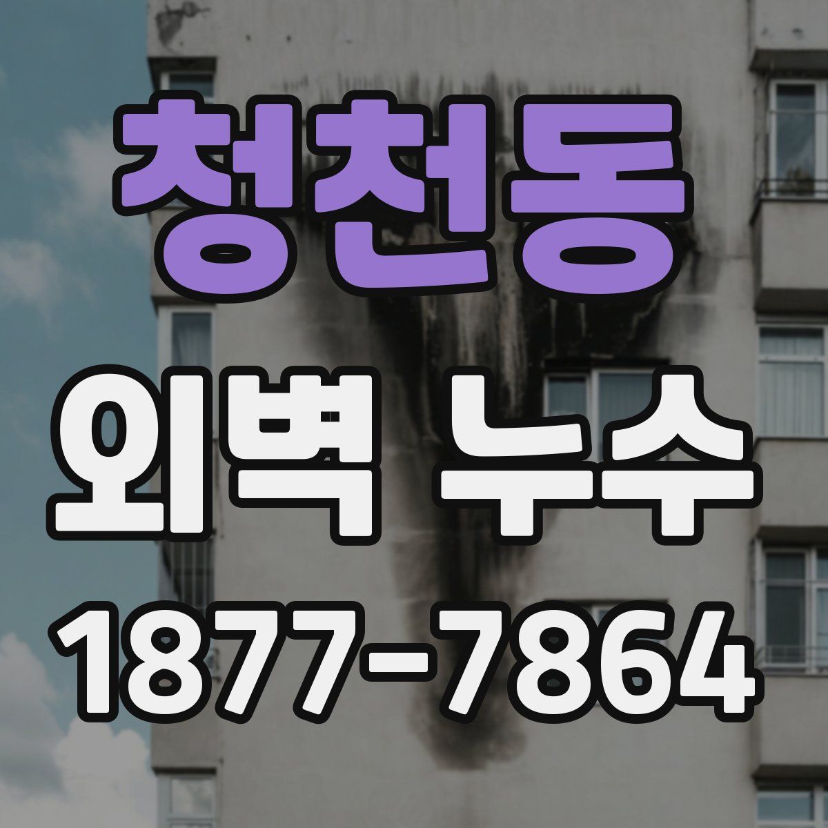 청천동 외벽 누수
