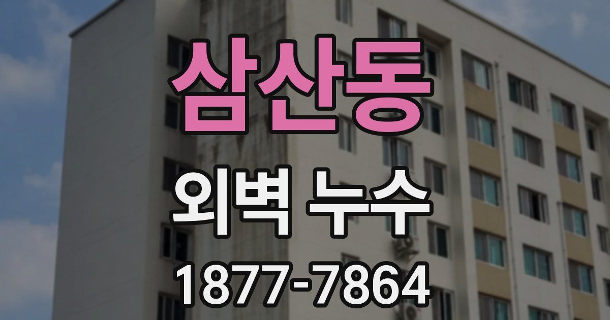 삼산동 외벽 누수