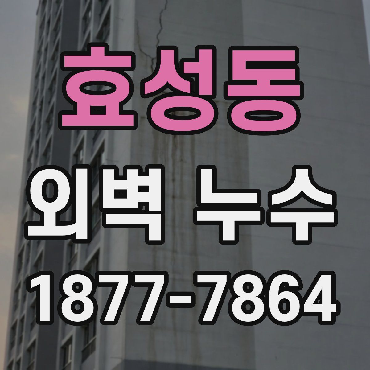 효성동 외벽 누수