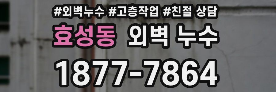 효성동 외벽 누수