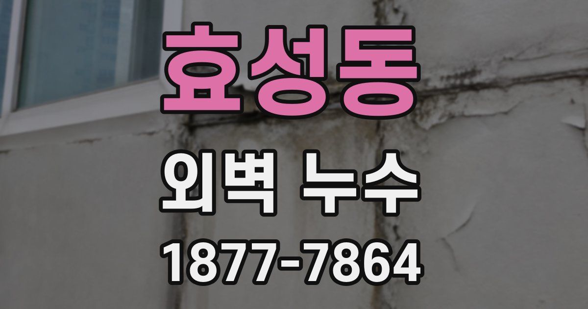 효성동 외벽 누수