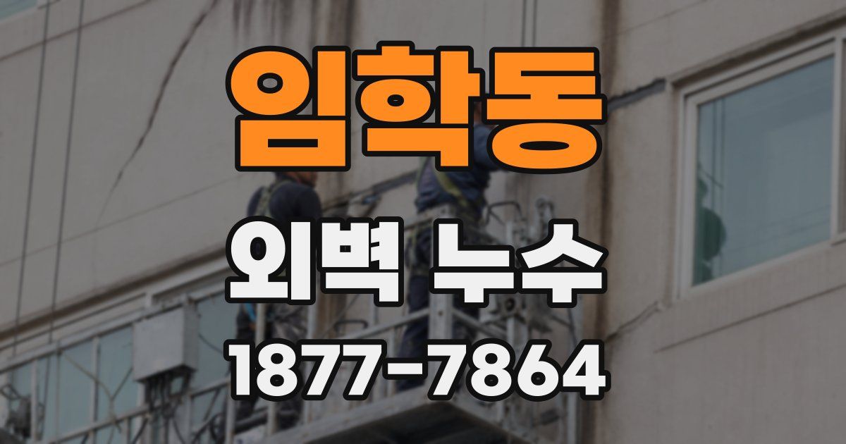 임학동 외벽 누수