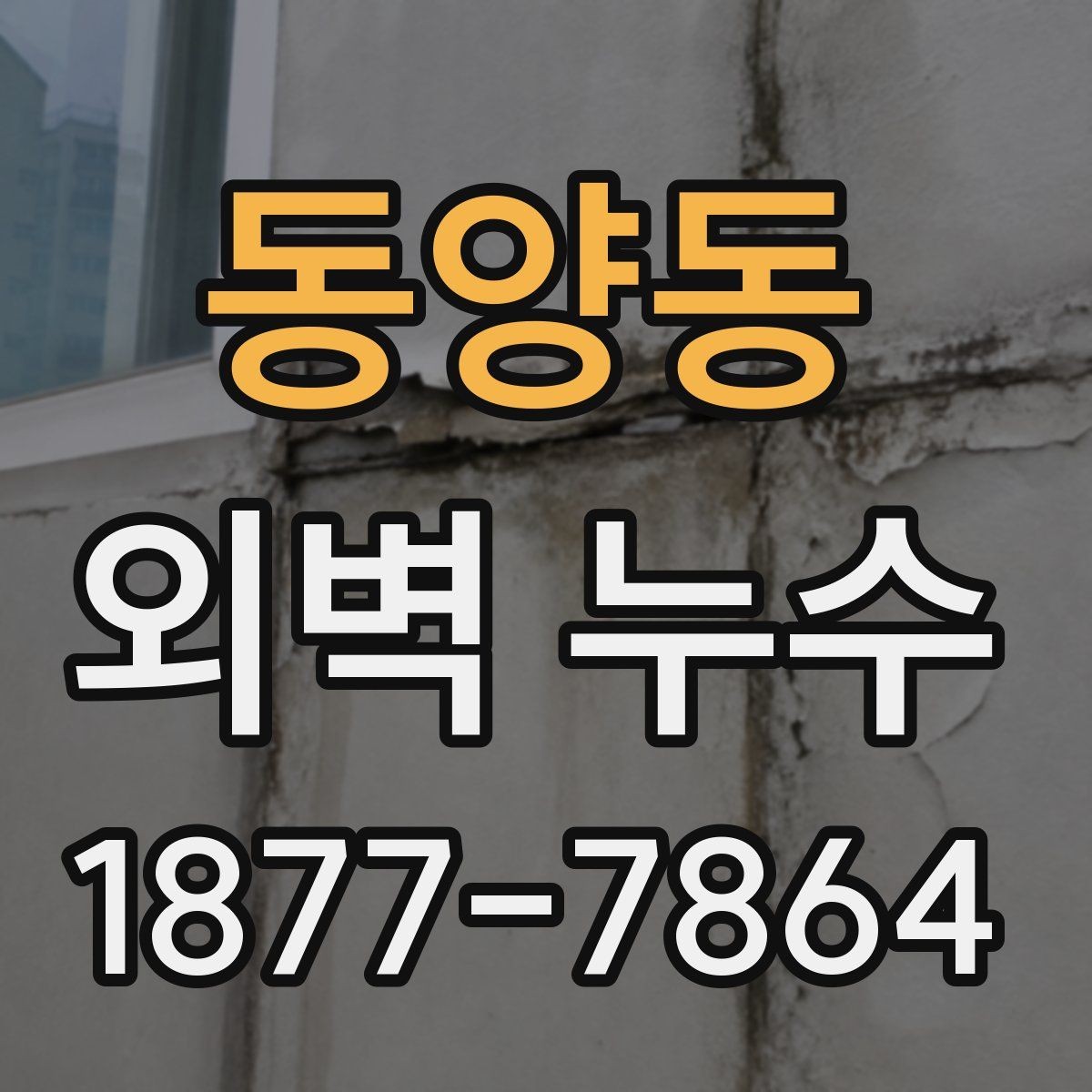 동양동 외벽 누수 보수 전 확인하는 하자 흔적