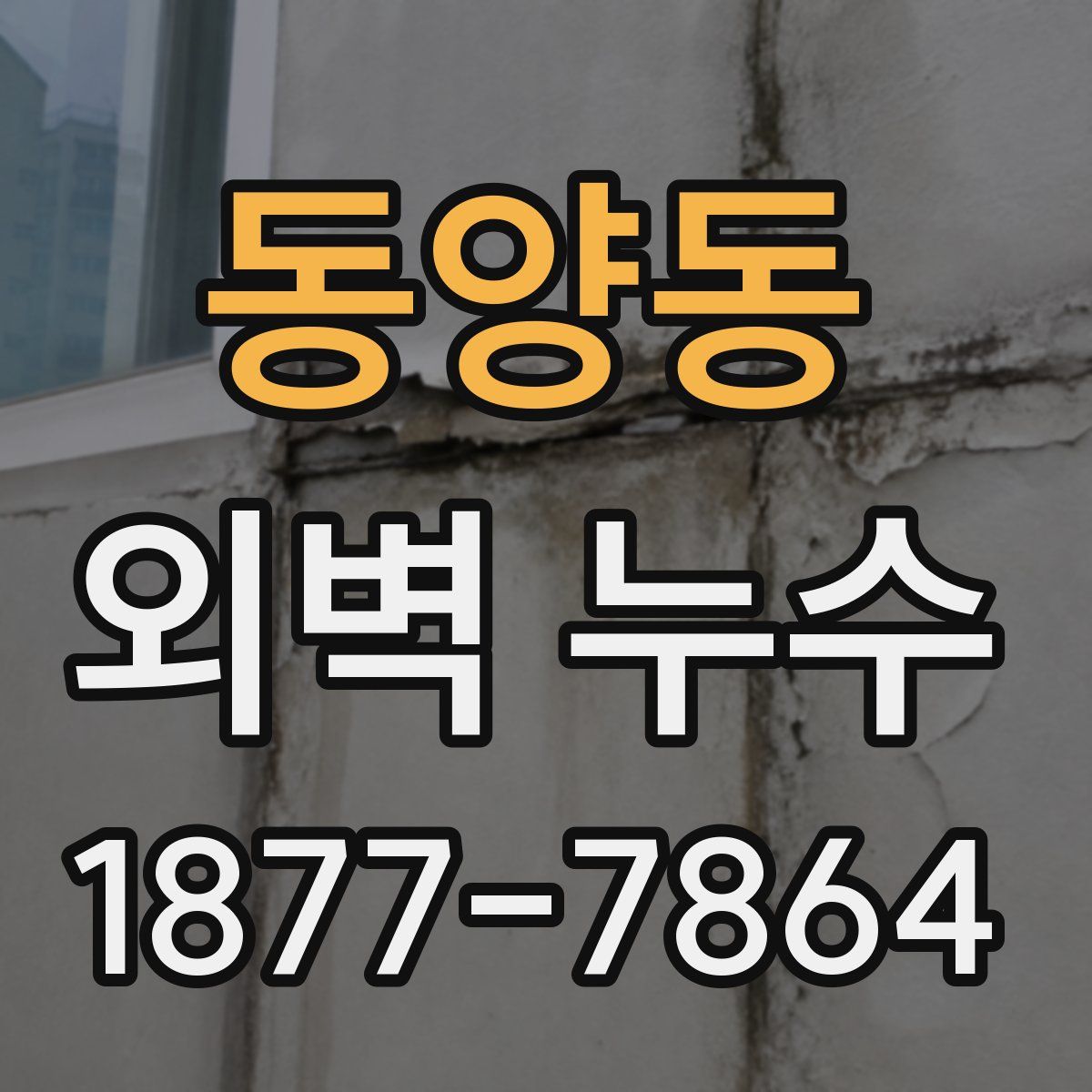 동양동 외벽 누수