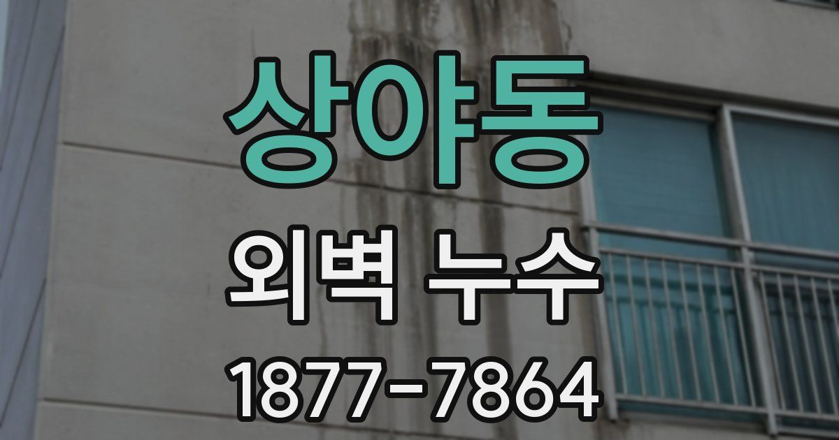 상야동 외벽 누수