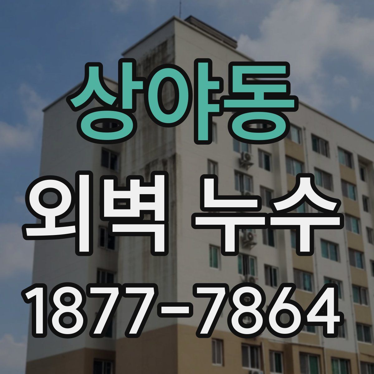 상야동 외벽 누수