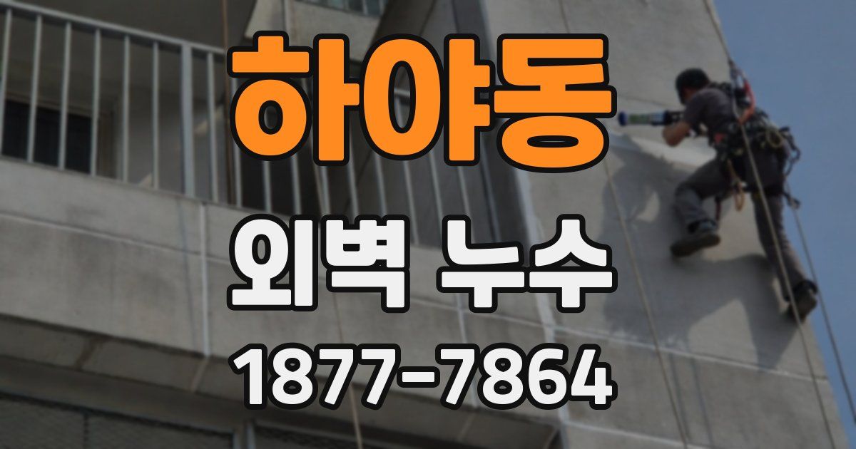 하야동 외벽 누수