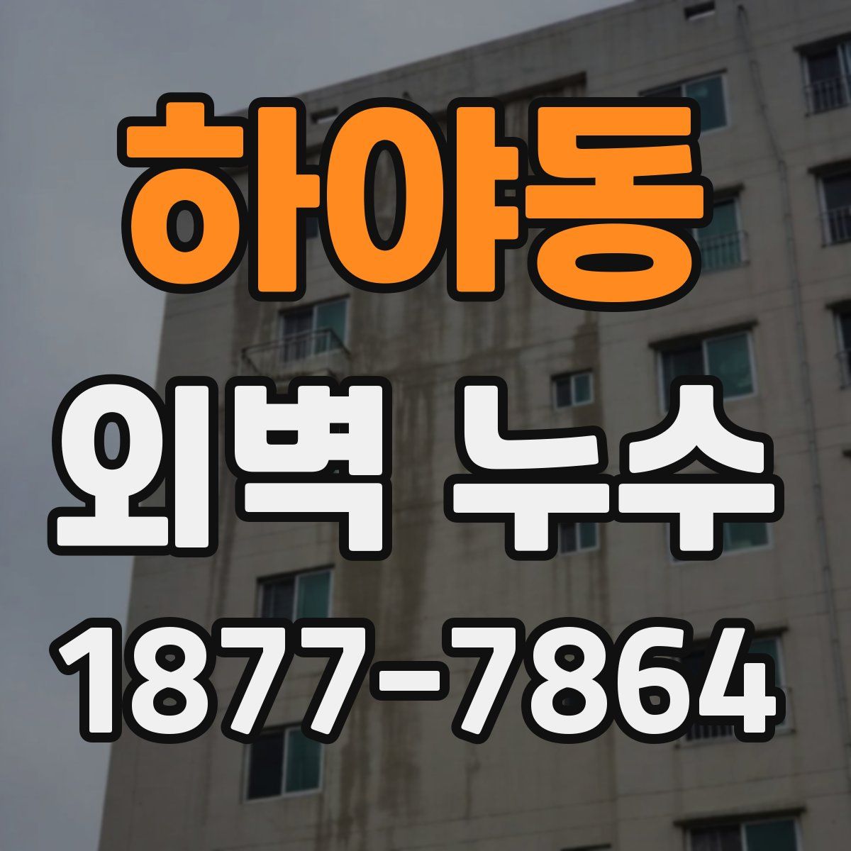 하야동 외벽 누수