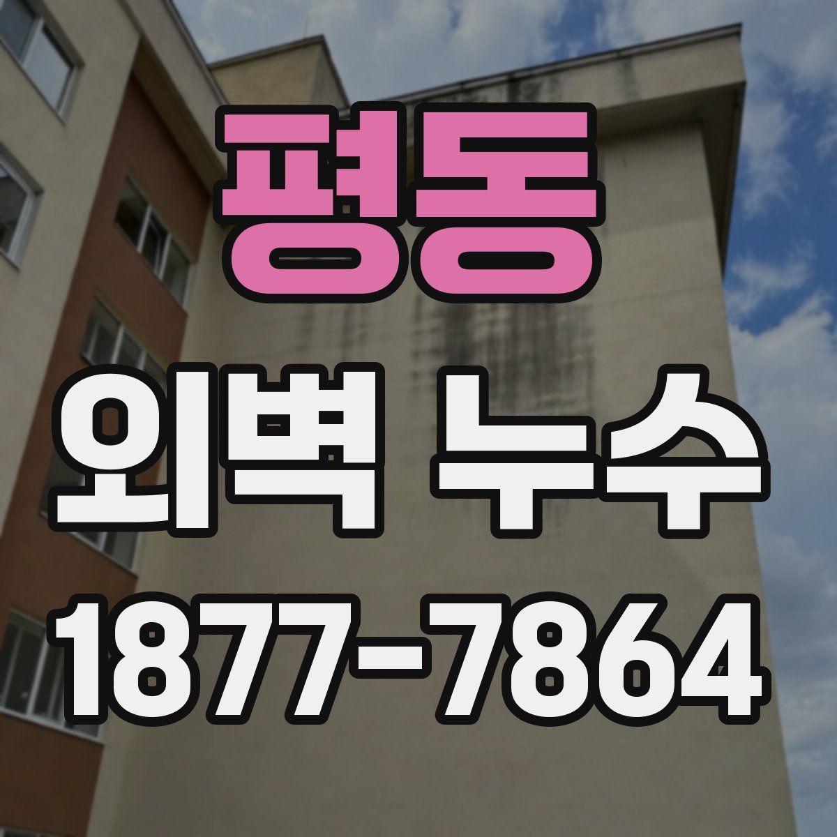 평동 외벽 누수